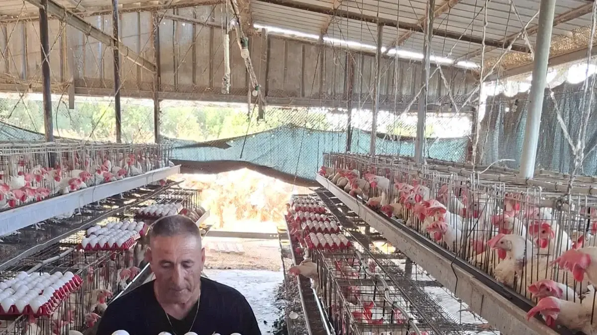ישראל סבגי עובד בלול שלו בדוב"ב ישראל סבגי עובד בלול שלו בדוב"ב