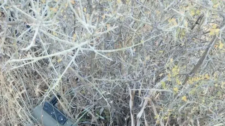 פענוח פרשיית רצח על רקע הבחירות המקומיות בעיר מע'אר ע״י ארגון הפשע אבו לטיף פענוח פרשיית רצח על רקע הבחירות המקומיות בעיר מע'אר ע״י ארגון הפשע אבו לטיף