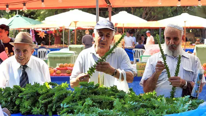 ארבעת המינים הדס ארבעת המינים הדס
