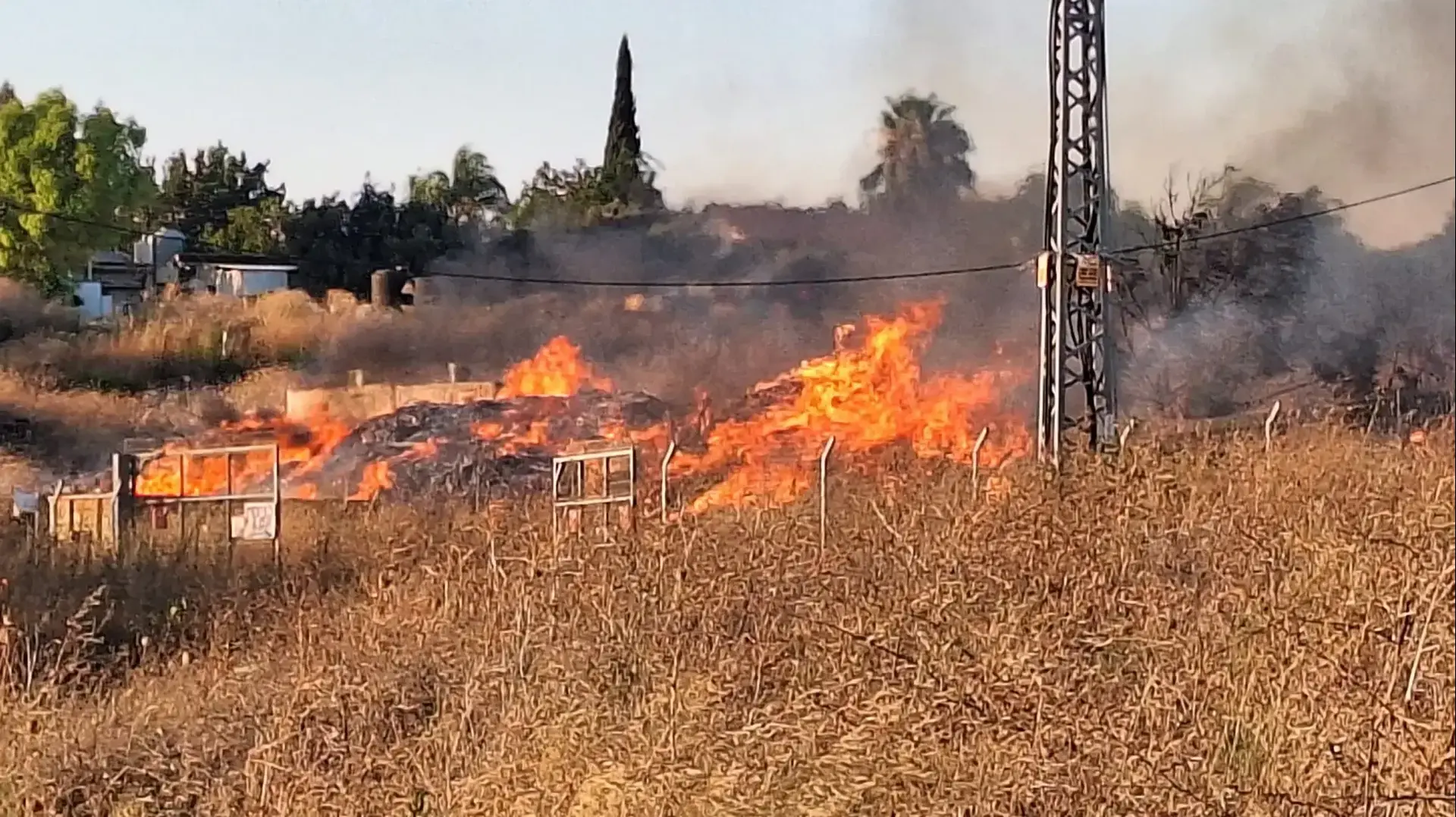נפילות באזור חוות הפורלים של קיבוץ דן נפילות באזור חוות הפורלים של קיבוץ דן