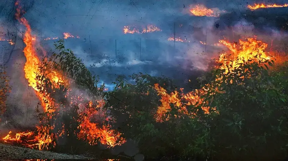 שריפה ברמת הגולן לאחר ירי רקטה שריפה ברמת הגולן לאחר ירי רקטה