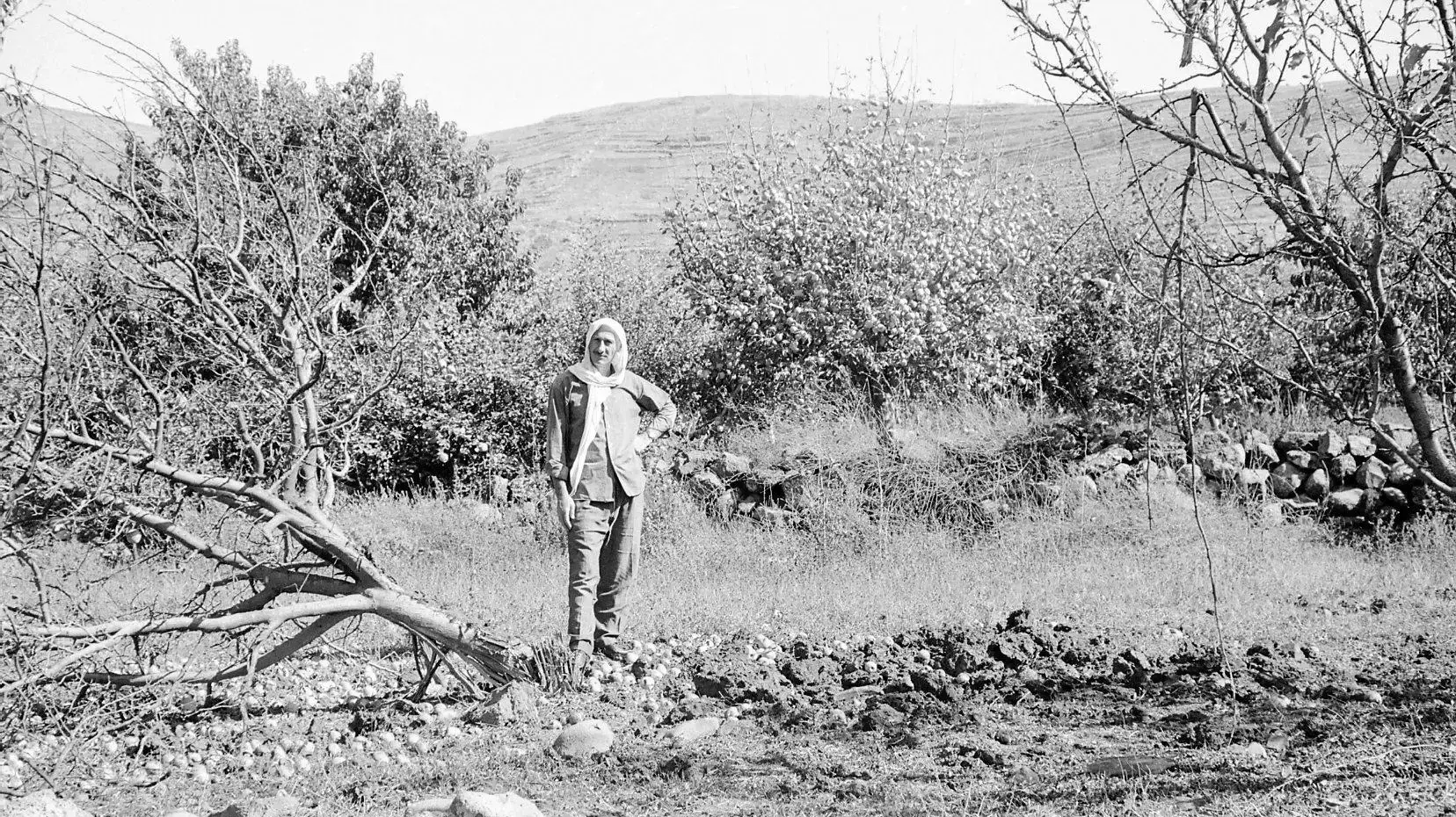 תושב מג'דל שמס ומטעיו שנפגעו בהפצצות, 1 באוקטובר 1974 תושב מג'דל שמס ומטעיו שנפגעו בהפצצות, 1 באוקטובר 1974
