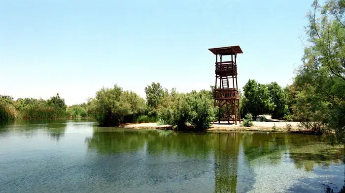 עין פשחה עינות צוקים צפון ים המלח