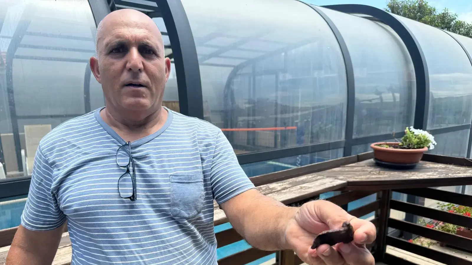 גדעון לוי, לולן במושב שתולה גדעון לוי, לולן במושב שתולה