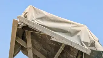 כלב בעמדת שמירה בכניסה למגנן בציר נצרים. 7 באוגוסט 2024 כלב בעמדת שמירה בכניסה למגנן בציר נצרים. 7 באוגוסט 2024