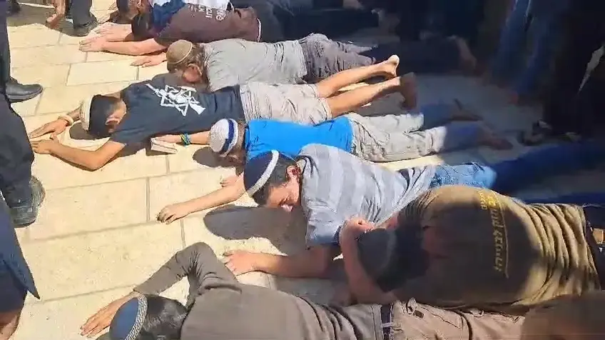 יהודים מתפללים ומשתחווים בתשעה באב בהר הבית, 13 באוגוסט 2024 יהודים מתפללים ומשתחווים בתשעה באב בהר הבית, 13 באוגוסט 2024