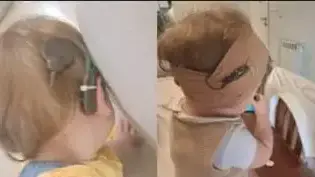 השתל האבוד, בשווי מוערך של 40 אלף ש"ח.