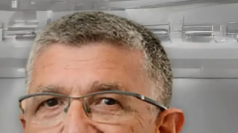 חיים תומר חיים תומר