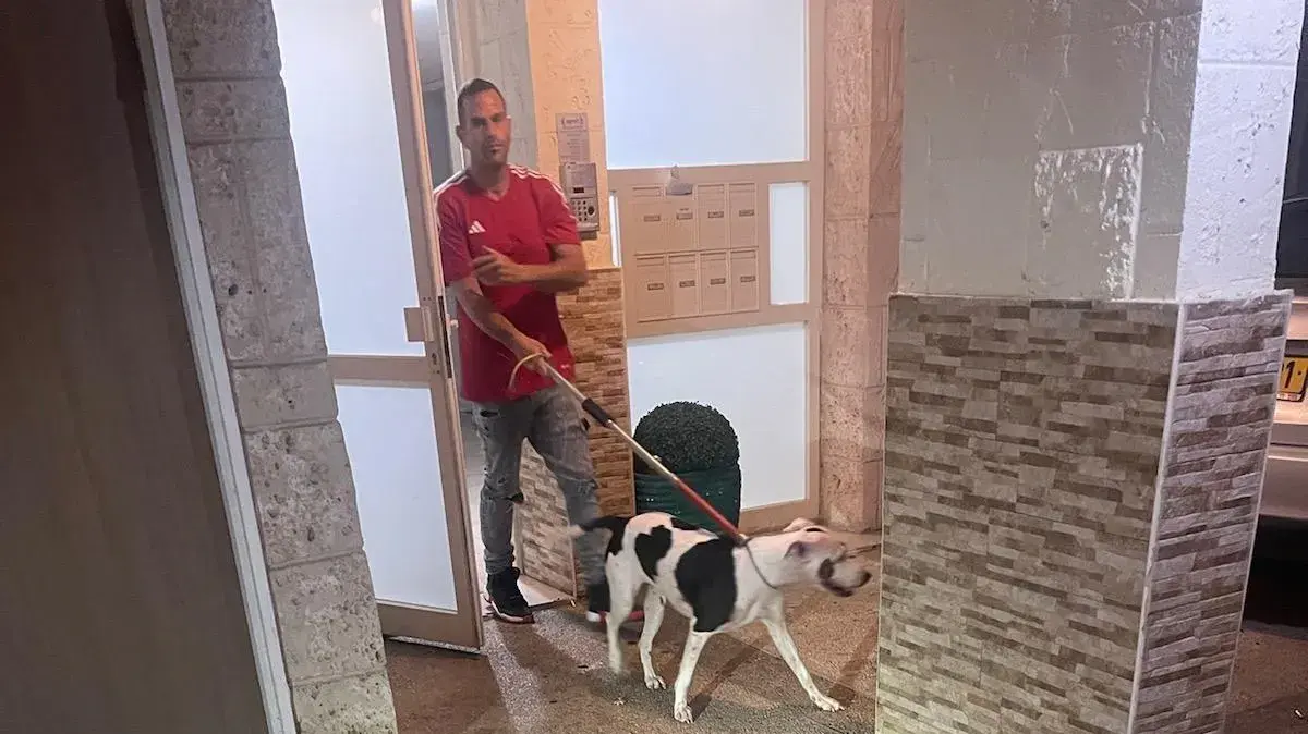 כלבת פיטבול נשכה ילדה בת שנתיים בקריית מוצקין