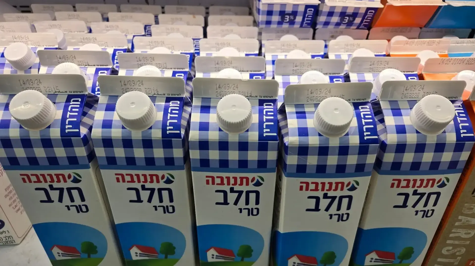 קרטון חלב קרטון חלב