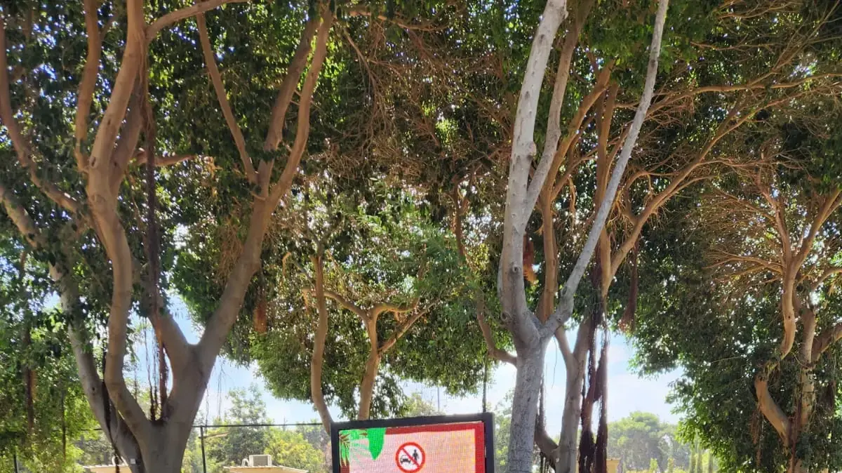 נעל את חברו מחוץ לרכב בספארי - ונסע בלעדיו.5 בספטמבר 2024 נעל את חברו מחוץ לרכב בספארי - ונסע בלעדיו.5 בספטמבר 2024