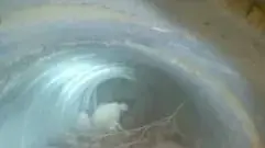 אותר פיר מבצעי ששימשו את המחבלים בעזה, 9 בספטמבר 2024 אותר פיר מבצעי ששימשו את המחבלים בעזה, 9 בספטמבר 2024