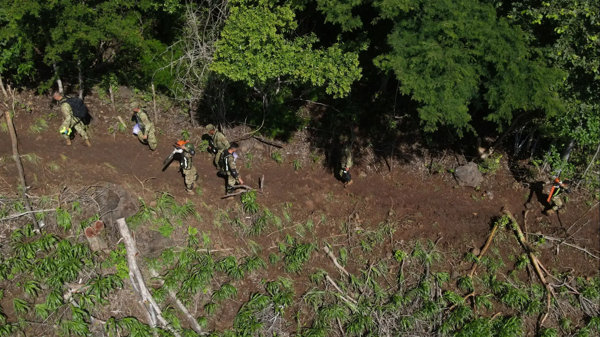 Soldiers inspect the area where El Salvador’s police director Mauricio Arriaza and Manuel Coto, man arrested on charges of a multi-million dollar embezzlement, were killed along with other crew members and passengers when a military helicopter in which they were traveling crashed, in Pasaquina, El Salvador September 9, 2024. REUTERS/Camilo Freedman
Soldiers inspect the area where El Salvador’s police director Mauricio Arriaza and Manuel Coto, man arrested on charges of a multi-million dollar embezzlement, were killed along with other crew members and passengers when a military helicopter in which they were traveling crashed, in Pasaquina, El Salvador September 9, 2024. REUTERS/Camilo Freedman