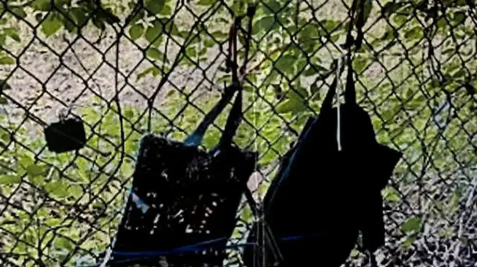 רובה שנמצא בסמוך למסלול הגולף שבו שיחק דונלד טראמפ בפלורידה, ארה"ב, 15 בספטמבר 2024 רובה שנמצא בסמוך למסלול הגולף שבו שיחק דונלד טראמפ בפלורידה, ארה"ב, 15 בספטמבר 2024