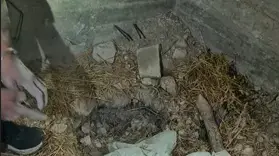 נשק ומטעני חבלה שנתפסו אצל אחד החשודים שניסו לחסל את משה בוגי יעלון באמצעות כלימגור, פארק הירקון, ספטמבר 2023 נשק ומטעני חבלה שנתפסו אצל אחד החשודים שניסו לחסל את משה בוגי יעלון באמצעות כלימגור, פארק הירקון, ספטמבר 2023
