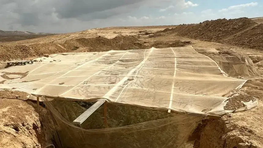 חממת הקנאביס שנחשפה בפזורה הבדואית, 22 בספטמבר 2024 חממת הקנאביס שנחשפה בפזורה הבדואית, 22 בספטמבר 2024