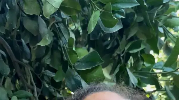 מתוך "עוד נחזור לרקוד" של יריב מוזר