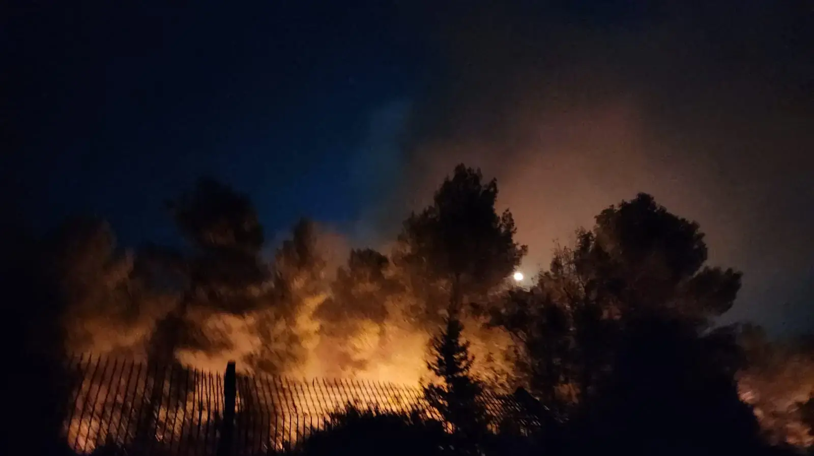 שריפה באזור שלומי כתוצאה מנפילה מלבנון, 16 באוקטובר 2024 שריפה באזור שלומי כתוצאה מנפילה מלבנון, 16 באוקטובר 2024