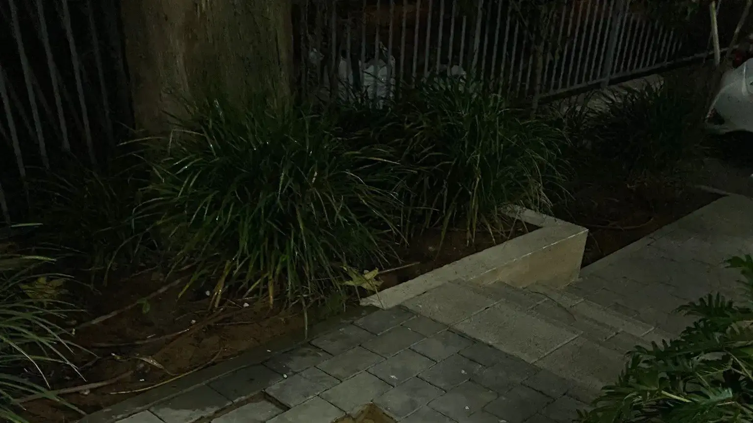 צעיר בן 22 נפל לתוך בור שנפער במדרכה ברעננה ופונה לבית חולים צעיר בן 22 נפל לתוך בור שנפער במדרכה ברעננה ופונה לבית חולים