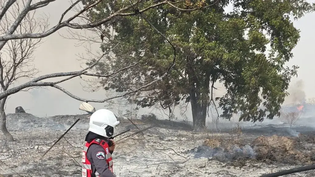 שריפת קוצים ומטע בקו בתים בבורגתה בשרון, 25 באוקטובר 2024 שריפת קוצים ומטע בקו בתים בבורגתה בשרון, 25 באוקטובר 2024