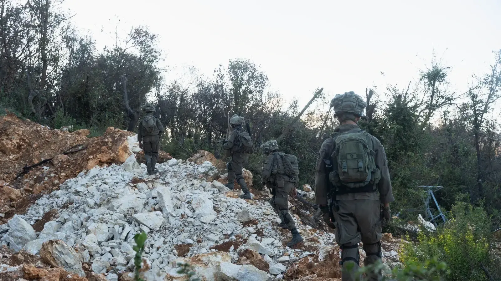 פעילות כוחות חטיבת גולני בדרום לבנון פעילות כוחות חטיבת גולני בדרום לבנון