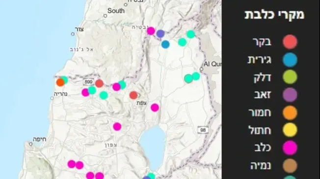 מקרי הכלבת בישראל בשנת 2024