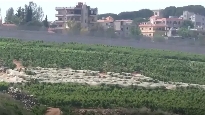 מטע של חקלאי מטולה, ליד הגבול. 31 באוקטובר 2024 מטע של חקלאי מטולה, ליד הגבול. 31 באוקטובר 2024