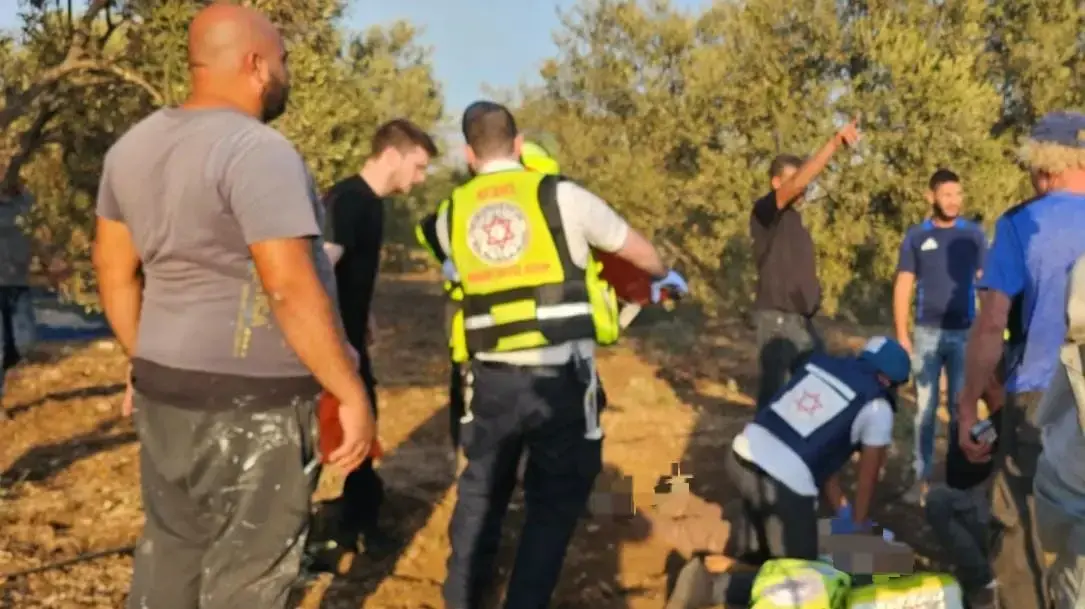 טיפול מד"א בזירת נפילה סמוך לכביש 79 בשטח חקלאי, 31 לאוקטובר 2024