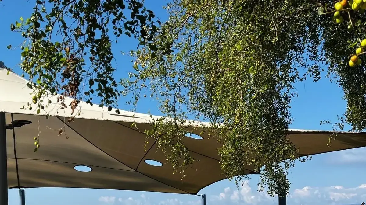 משפחתו של עומר שם טוב ביום ה-300 למלחמה