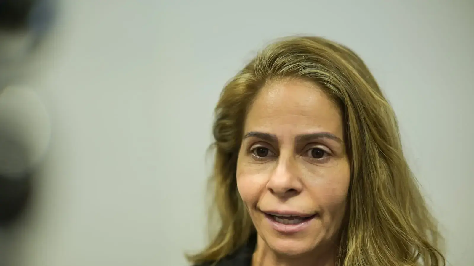 ענבל אור , בהכרעת דין: 15 אישומים בגין ביצוע עבירות על חוק המע"מ, פקודת מס הכנסה, עבירות מרמה בנסיבות מחמירות כלפי לקוחות וכלפי מנהל סניף בנק, וכן עבירות על חוק הגנת הצרכן,  שלום ת"א , 8 בנובמבר 2024