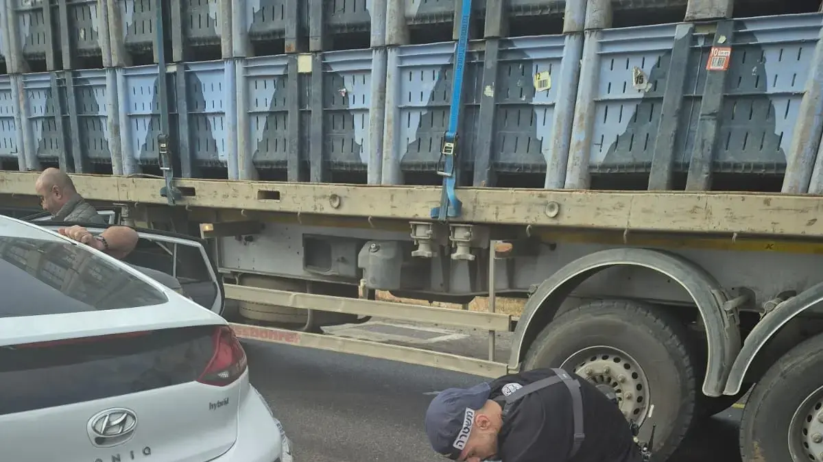 מעצר החשודים ברצח האישה בתל שבע, 10 בנובמבר 2024 מעצר החשודים ברצח האישה בתל שבע, 10 בנובמבר 2024
