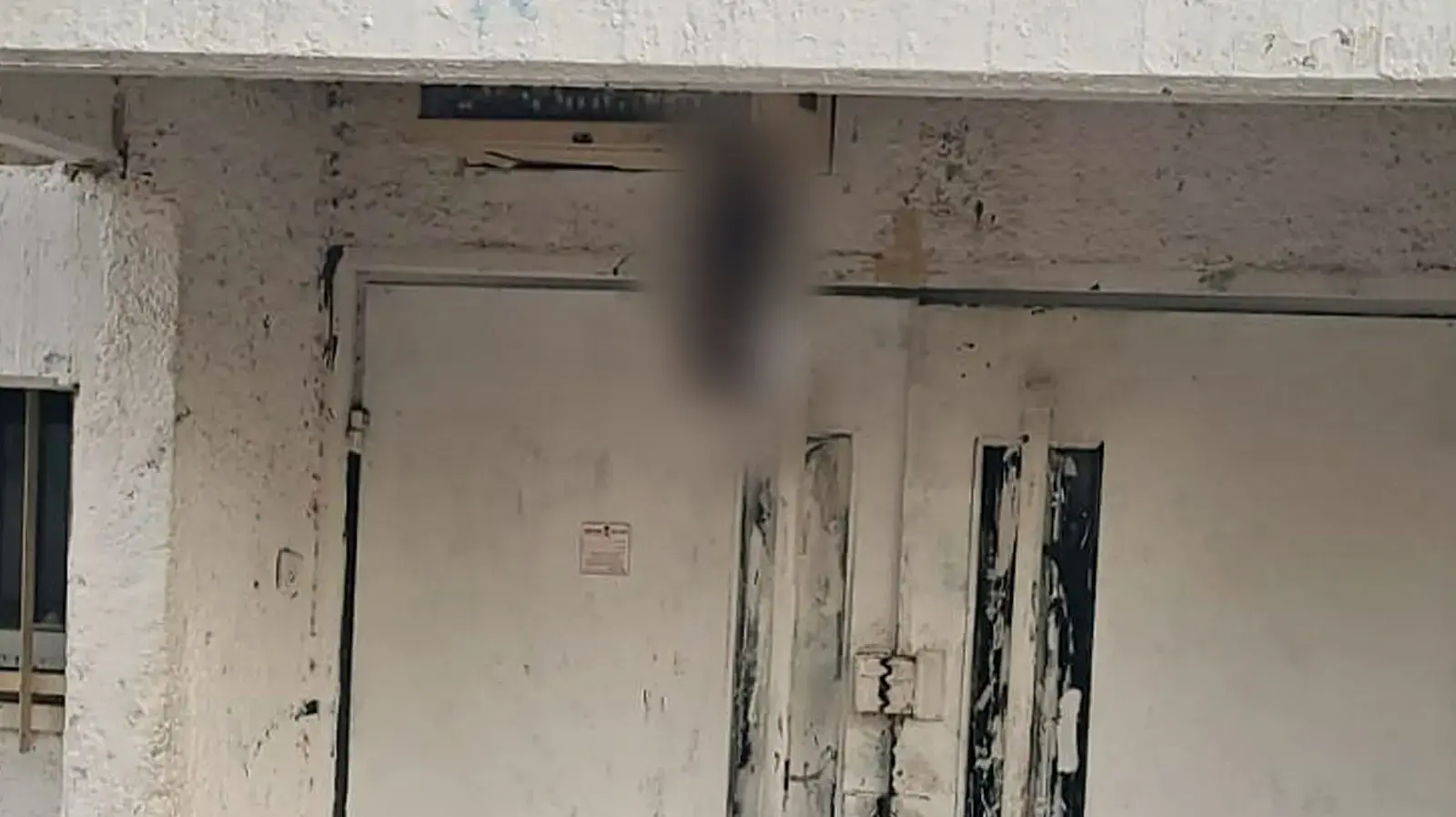 התעללות בבעלי חיים בעיר קרית גת התעללות בבעלי חיים בעיר קרית גת