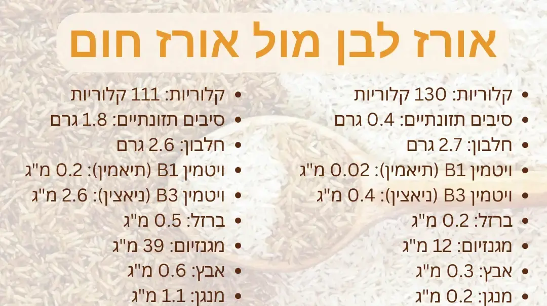 אורז לבן מול אורז חום אורז לבן מול אורז חום