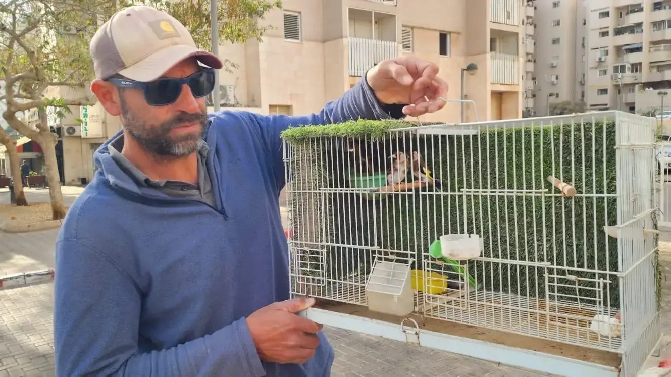 צבי ים וציפורים מוגנות נתפסו אצל אזרחים בבאר שבע