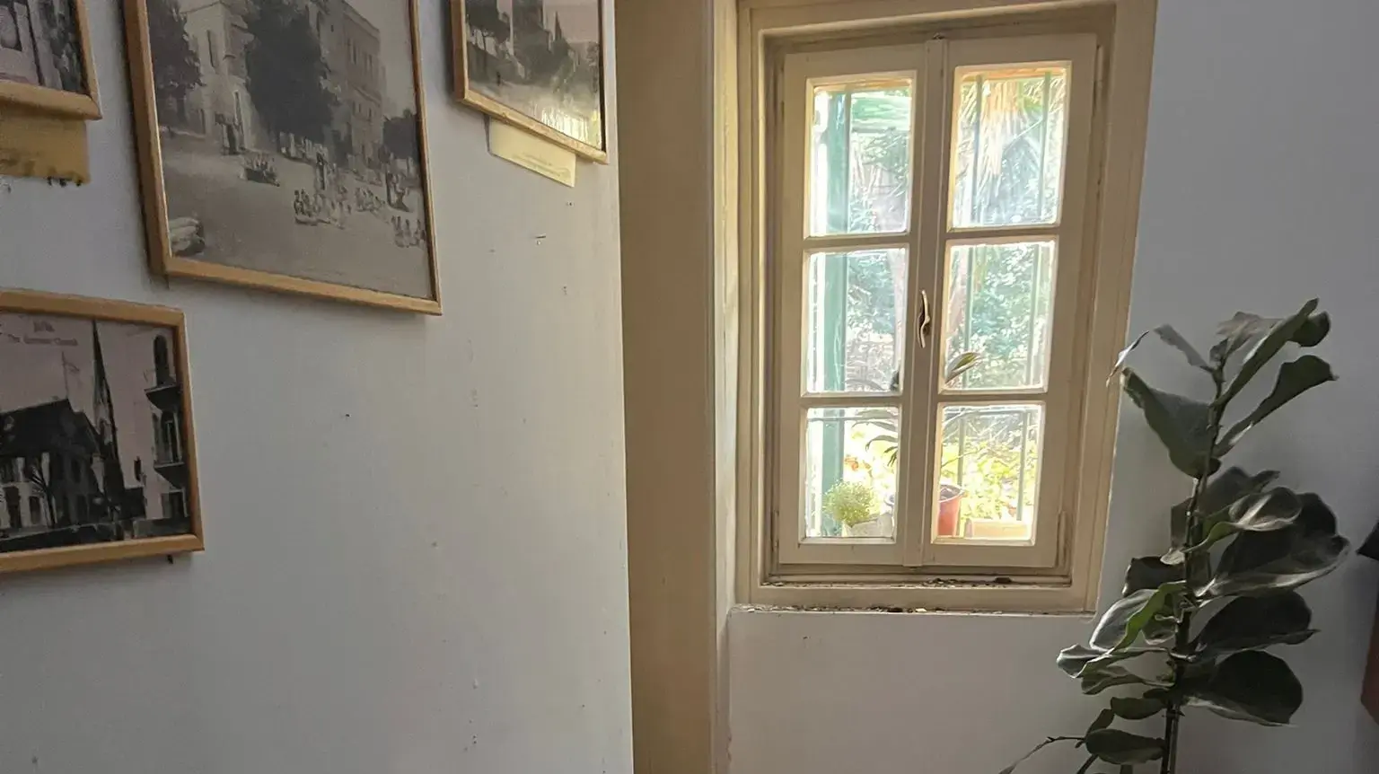 בית קלר בחיפה שנפגע במטח של חיזבאללה ומכיל בתוכו את ארכיון הבנייה הטמפלרי בחיפה בית קלר בחיפה שנפגע במטח של חיזבאללה ומכיל בתוכו את ארכיון הבנייה הטמפלרי בחיפה