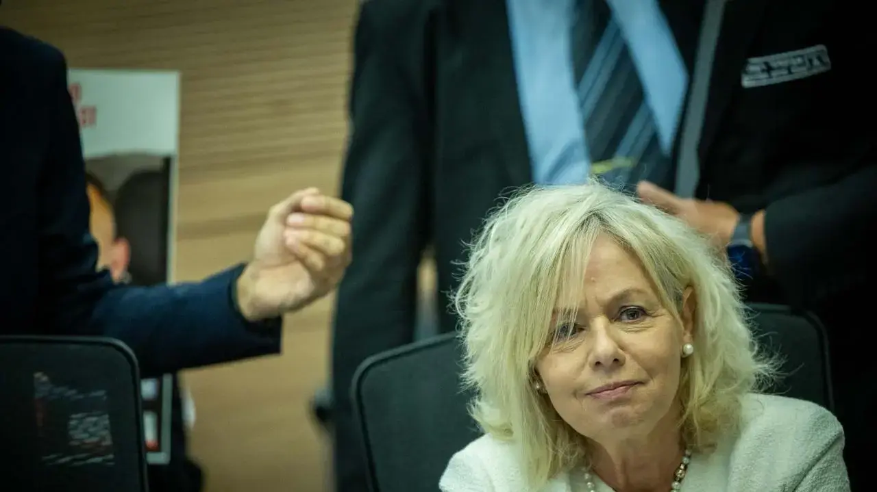 היועמ"שית גלי בהרב מיארה, דיון ועדת החוקה על פשיעה מאורגנת, 18 בנובמבר 2024