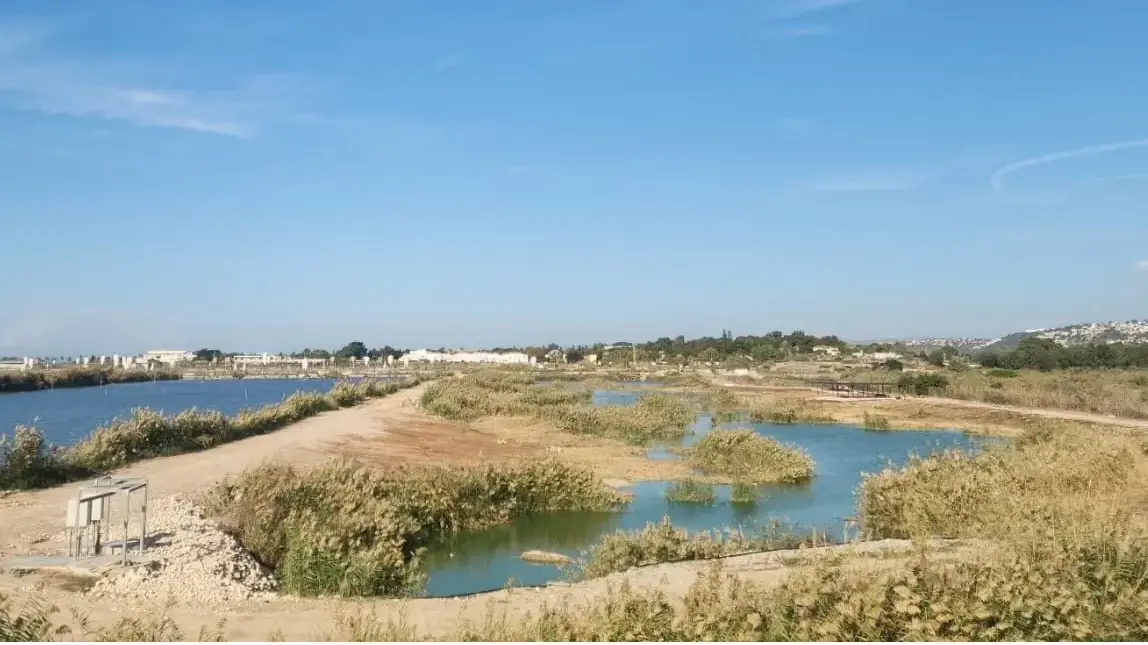 פארק הצפרות המחודש במעגן מיכאל פארק הצפרות המחודש במעגן מיכאל