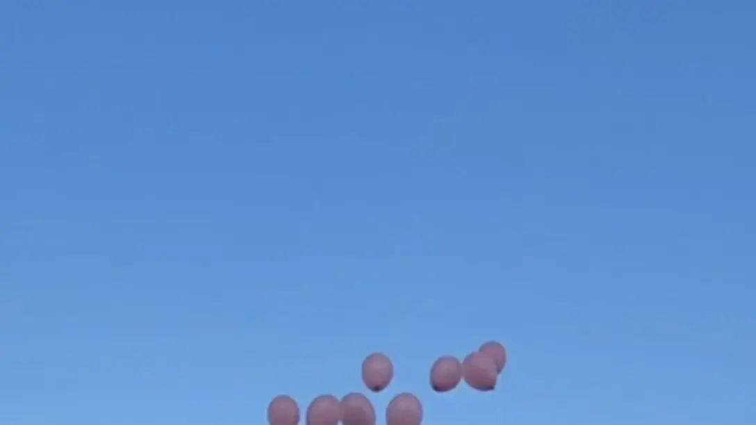 הבלונים שהפריחו חברותיה של תהל לזכרה הבלונים שהפריחו חברותיה של תהל לזכרה
