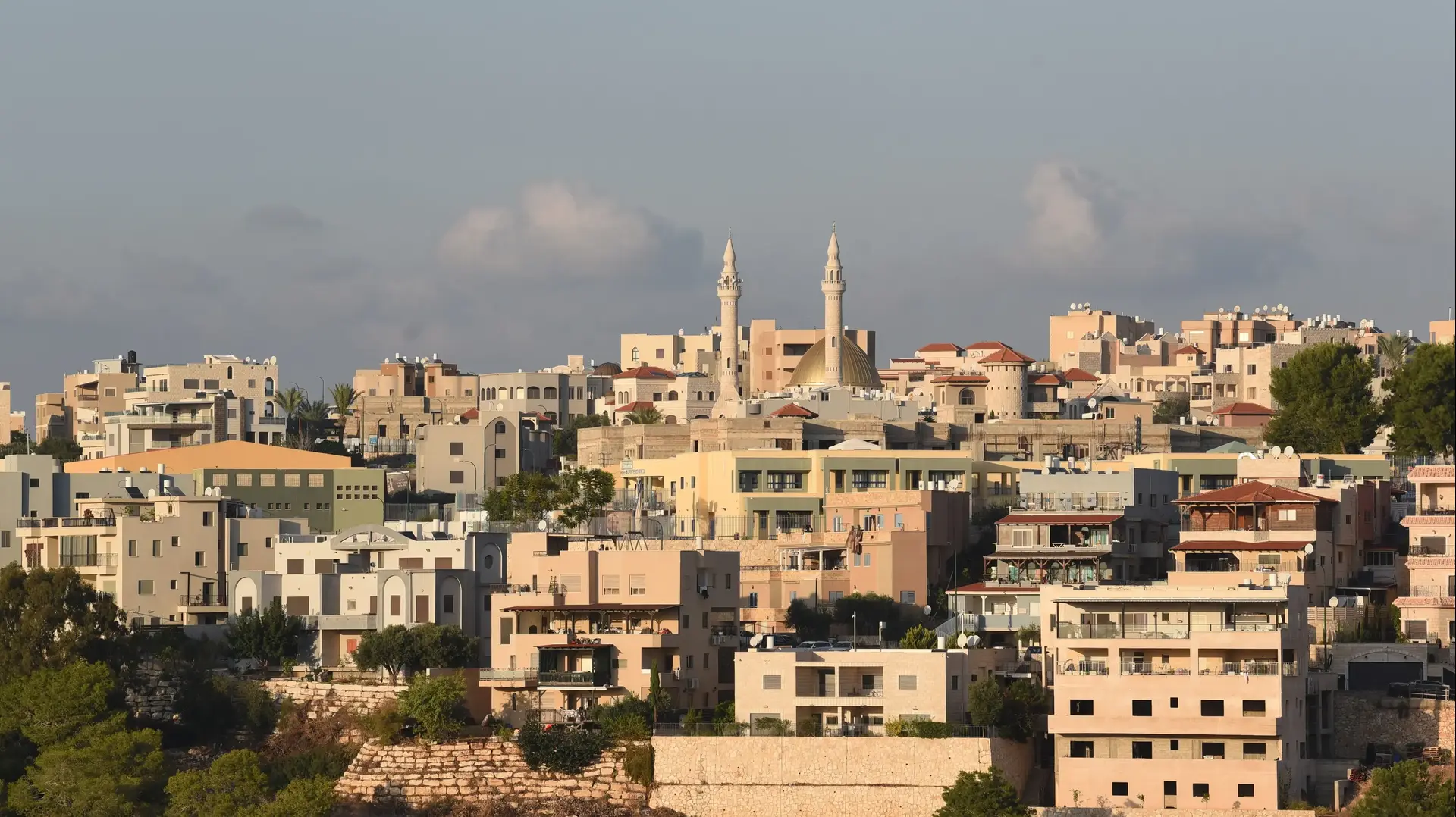 פרדייס פרדייס