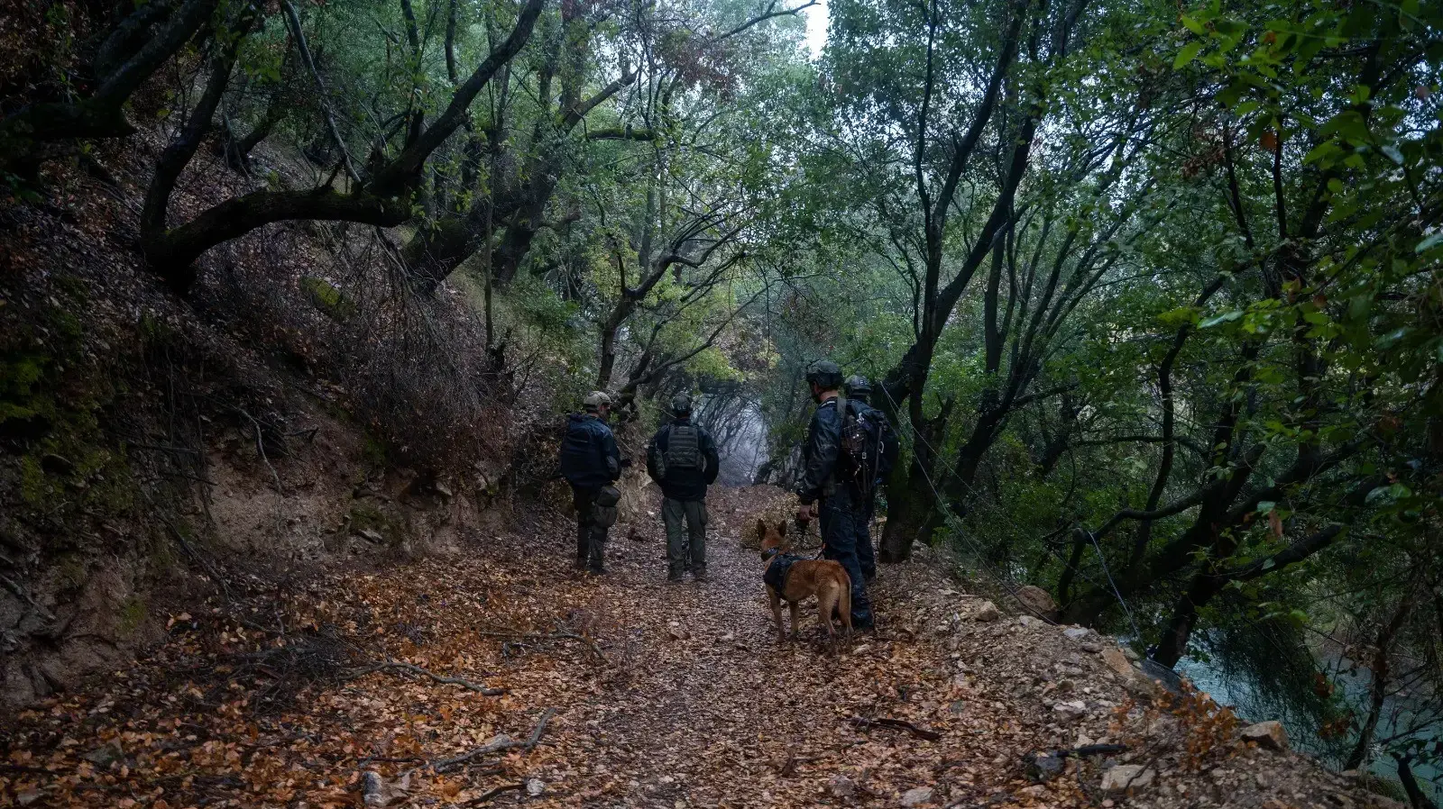 כוחות יחידת שלדג במרחב נהר הליטאני: הכוחות איתרו והשמידו מאות רקטות, מתחמי תת-קרקע ואמצעי לחימה רבים כוחות יחידת שלדג במרחב נהר הליטאני: הכוחות איתרו והשמידו מאות רקטות, מתחמי תת-קרקע ואמצעי לחימה רבים