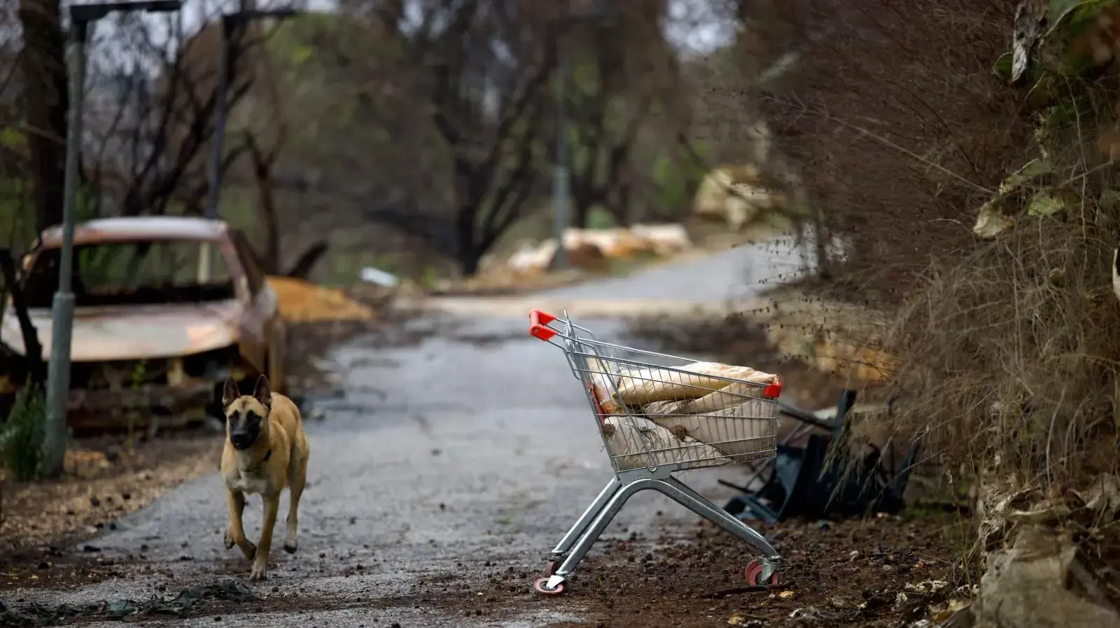 מנרה בבוקר שאחרי הפסקת האש עם לבנון, 27 בנובמבר 2024 מנרה בבוקר שאחרי הפסקת האש עם לבנון, 27 בנובמבר 2024