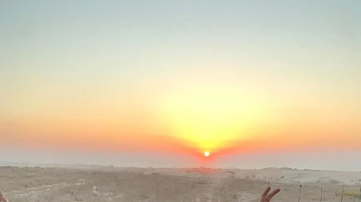 זמיר בורק, מבית שמש, מפקד כיתת צמ"ה בגדוד ההנדסה 601, עוצבת 'עקבות הברזל' (401), נפל בקרב בצפון רצועת עזה, בן 20 בנופלו. זמיר בורק, מבית שמש, מפקד כיתת צמ"ה בגדוד ההנדסה 601, עוצבת 'עקבות הברזל' (401), נפל בקרב בצפון רצועת עזה, בן 20 בנופלו.