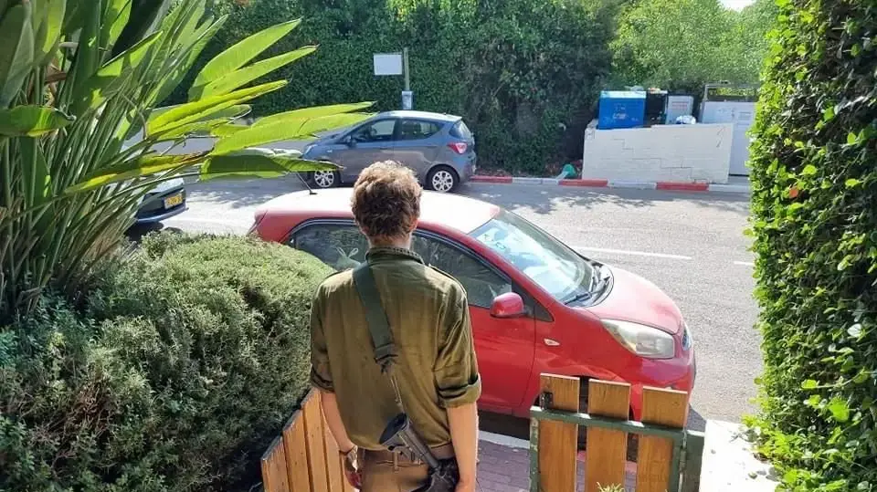 גל דורון גל דורון