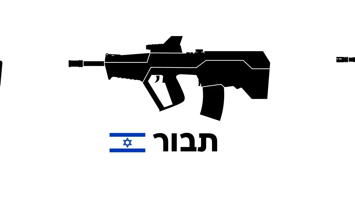 אינפוגרפיקה נשקים בשימוש צה"ל אינפוגרפיקה נשקים בשימוש צה"ל