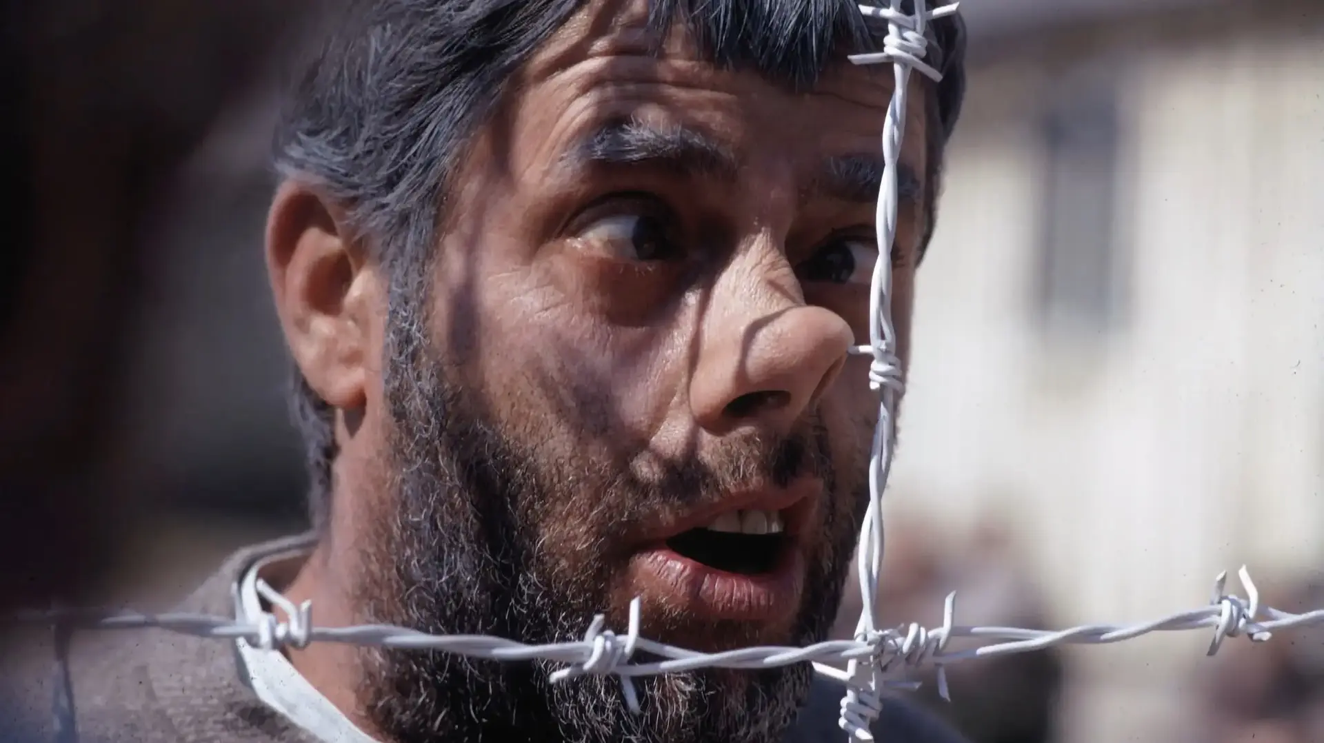 מתוך "היום בו הליצן בכה"
