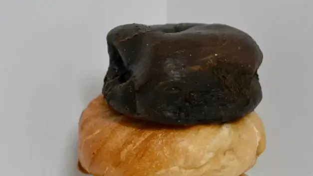 הבייגלים האחרונים מאבסולוט בייגלס בניו יורק מוצעים למכירה באתר איביי