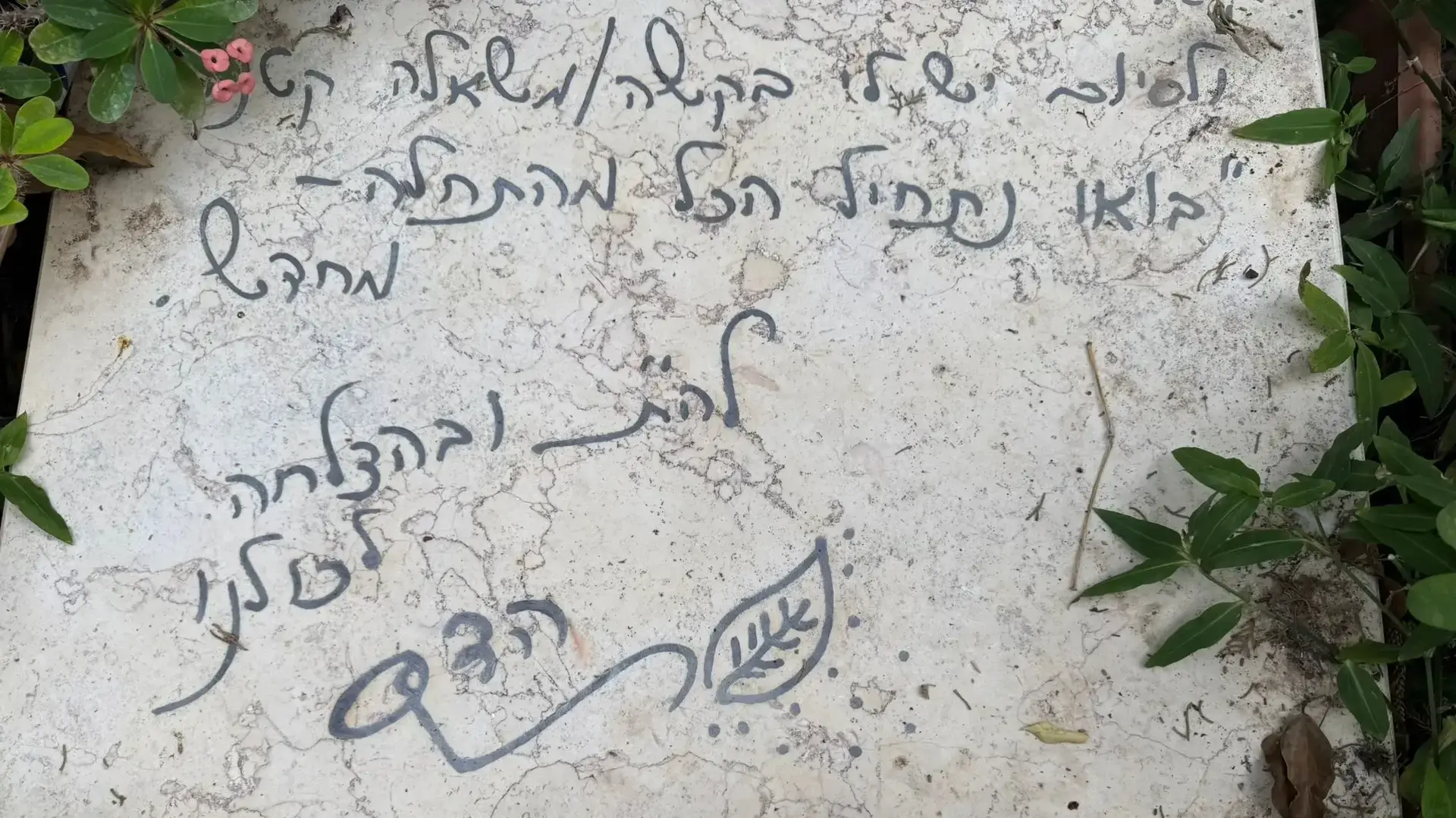 קבר הדס קדמי קבר הדס קדמי