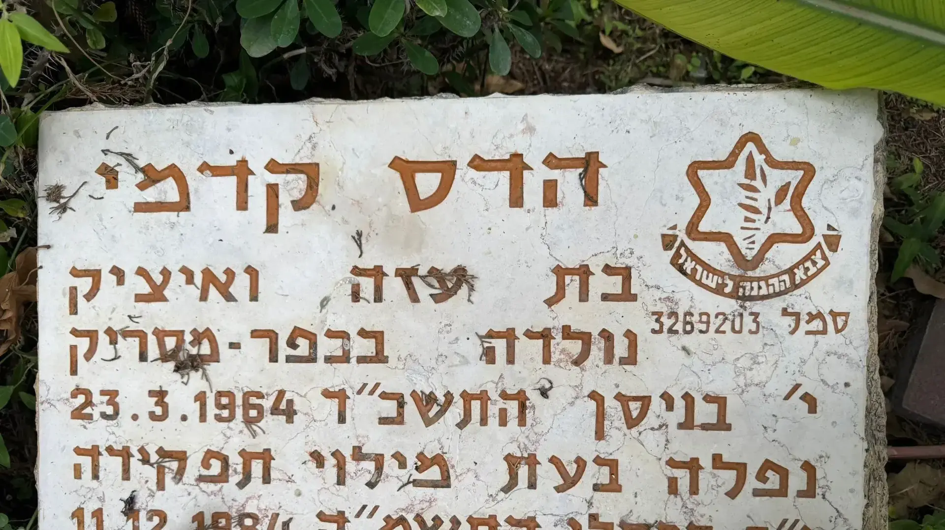 קבר הדס קדמי קבר הדס קדמי