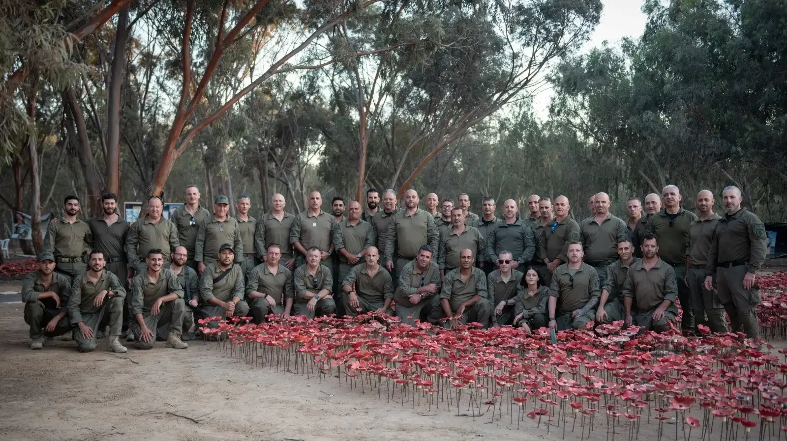 צה"ל הקים חמש חטיבות מילואים- נגב ("נגבה"), שפלה ("יהונתן"), עמקים ("יזרעאלי"), ירושלים ("ארי") וגליל גולן צה"ל הקים חמש חטיבות מילואים- נגב ("נגבה"), שפלה ("יהונתן"), עמקים ("יזרעאלי"), ירושלים ("ארי") וגליל גולן