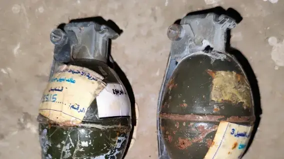 רימונים רימונים